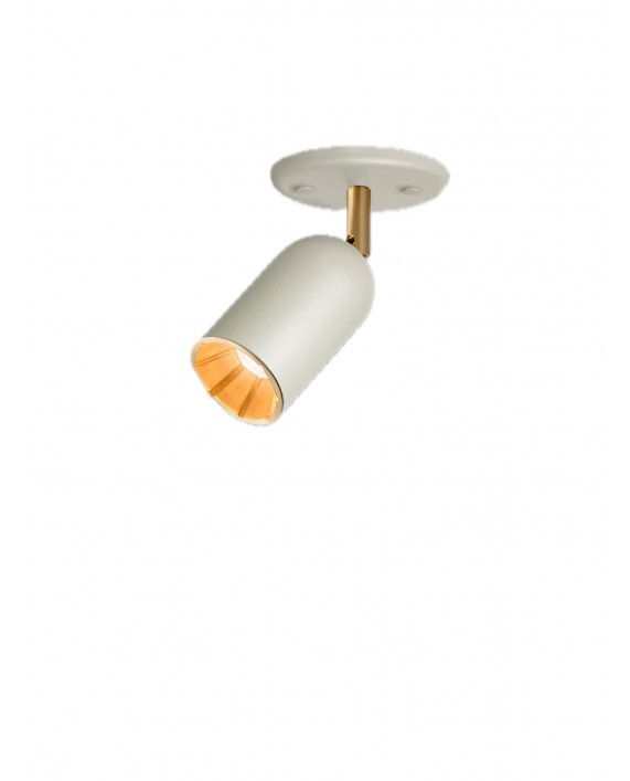 Bert Frank Doma Colourway Spotlight Ceiling Lamp